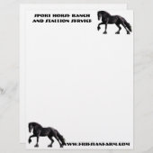 En-tête De Lettre Colt frison (Devant / Derrière)