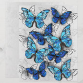 En-tête De Lettre Composition des White and Blue Butterflies (Devant / Derrière)