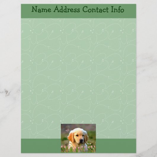 En-tête De Lettre Customisable Austin le Labrador d'or (Devant)