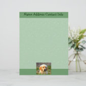 En-tête De Lettre Customisable Austin le Labrador d'or (Debout devant)