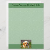 En-tête De Lettre Customisable Austin le Labrador d'or (Devant / Derrière)