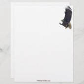 En-tête De Lettre Customisable Cool Bald Eagle Wildlife Collection (Devant / Derrière)