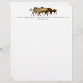 En-tête De Lettre Customisable Dessin de juments et de poulains (Devant / Derrière)