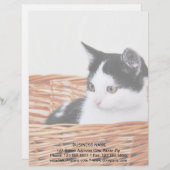 En-tête De Lettre Customisable Kitten dans le panier (Devant / Derrière)