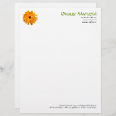 En-tête De Lettre Customisable Orange Marigold (Devant / Derrière)