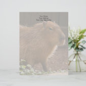 En-tête De Lettre Customisée Capybara (Debout devant)