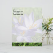 En-tête De Lettre Customisée Crocus (Debout devant)