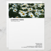 En-tête De Lettre Customisée En-tête grande image - Casta Daisies (Devant / Derrière)