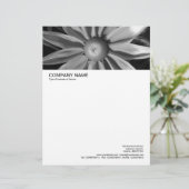 En-tête De Lettre Customisée En-tête grande image - Rudbecia en noir et blanc (Debout devant)