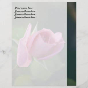 En-tête De Lettre Customisée Rose rose