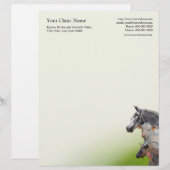 En-tête de lettre d'affaires de médecin (Devant / Derrière)