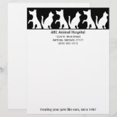 En-tête de lettre de clinique vétérinaire (Devant / Derrière)