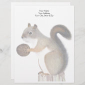 En-tête De Lettre Écureuil (Devant / Derrière)