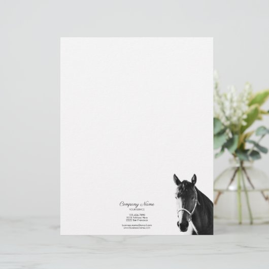 En-tête De Lettre Elégante tête de cheval noir blanc en fond (Debout devant)