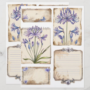 En-tête De Lettre Ephémère Coupe Fussy de fleurs d'Agapanthus