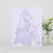 En-tête De Lettre Fleur d'iris à drapeau bleu violet (Debout devant)