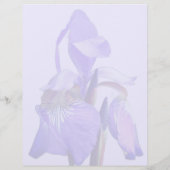 En-tête De Lettre Fleur d'iris à drapeau bleu violet (Dos)