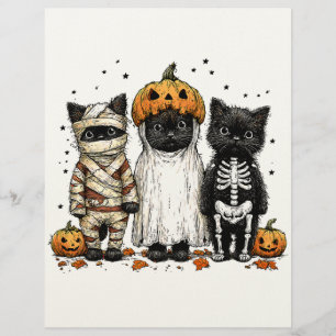 En-tête De Lettre Funny trois chats d'Halloween