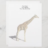 En-tête De Lettre Giraffe (Devant / Derrière)