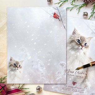 En-tête De Lettre Kitten & Red Cardinal en Neige - Papeterie 8,5x11"