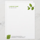 En-tête De Lettre Le vert laisse l'en-tête de lettre (Devant / Derrière)