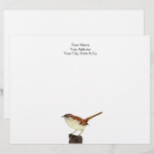 En-tête De Lettre Little Wren (Devant / Derrière)
