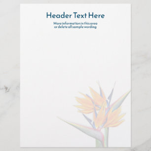 En-tête De Lettre Orange Bird of Paradise Livre blanc