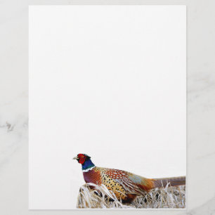 En-tête De Lettre Papier photo Pheasant à cou à anneaux