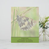 En-tête De Lettre Papillon blanc marbré sur l'herbe (Debout devant)