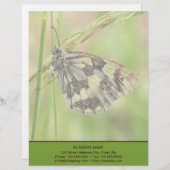 En-tête De Lettre Papillon blanc marbré sur l'herbe (Devant / Derrière)