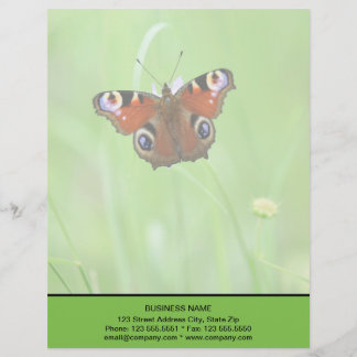 En-tête De Lettre Papillon paon