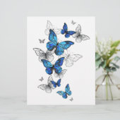 En-tête De Lettre Papillons volants bleus Morpho (Debout devant)