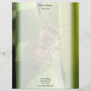En-tête De Lettre Personnalisée Abeille sur l'en-tête de lettre de fleur blanche