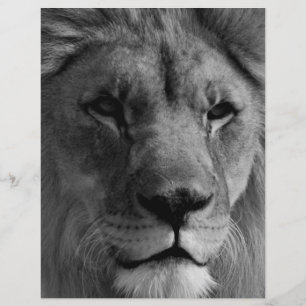 En-tête De Lettre Personnalisée Lion noir et blanc