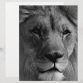 En-tête De Lettre Personnalisée Lion noir et blanc (Devant / Derrière)