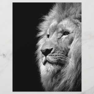 En-tête De Lettre Personnalisée Portrait de Lion noir blanc - Photographie d'anima