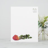 En-tête de lettre personnel rouge moderne minimal (Debout devant)