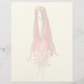 En-tête De Lettre Red Columbine Flower  (Devant)