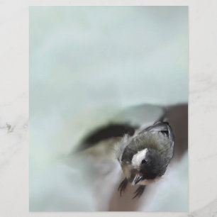 En-tête De Lettre Tidi my Bird le Parus Major