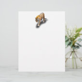 EN-TÊTE DE LETTRE TIGER DANS VOTRE DIRECTION (Debout devant)