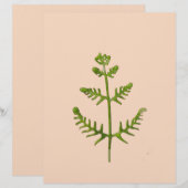 En-tête De Lettre vert de printemps (Devant / Derrière)