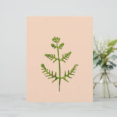 En-tête De Lettre vert de printemps (Debout devant)
