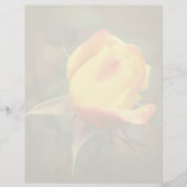 En-tête De Lettre Yellow Rosebud Flower  (Devant)