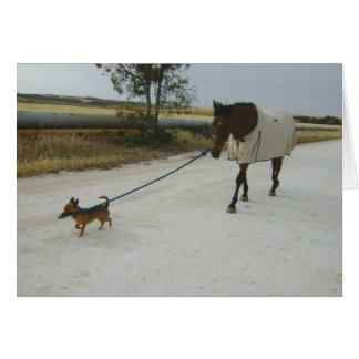 En-tête pour la maison