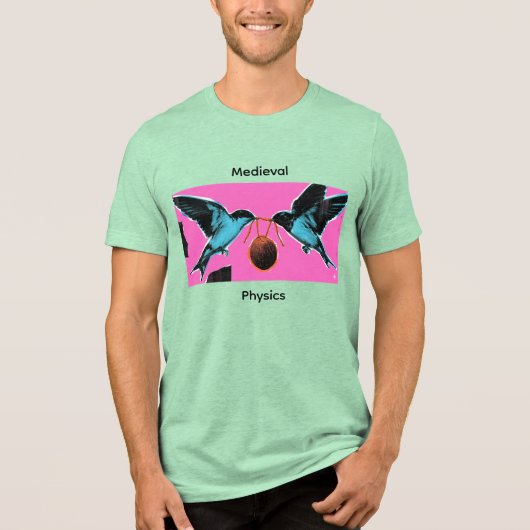 En Tri-matière Coconuts Don't Migrate Medieval Physics T-shirt (Recto)