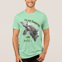 T-Shirt Fun avec Gros Plan d'Araignée Guêpe