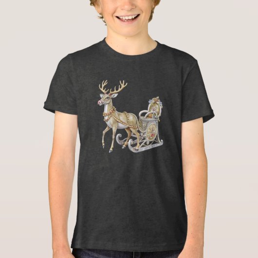 En Tri-matière T-shirt Reindeer Sleigh Boys (Recto)