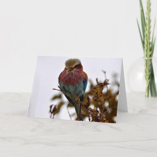 en trots kaart (Voorkant)