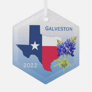 En Verre Galveston Texas, Contour et Ornement de Bleuets