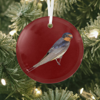 En Verre Ornement de photo d'oiseau Hirondelle de cheminée
